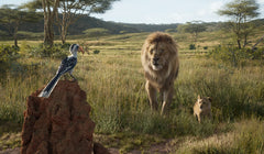 The Lion King - Live Action - 4K Limited Edition Collectible SteelBook [Blu-ray + 4K UHD + Digital]