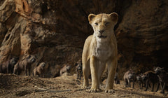The Lion King - Live Action - 4K Limited Edition Collectible SteelBook [Blu-ray + 4K UHD + Digital]