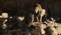 The Lion King - Live Action - 4K Limited Edition Collectible SteelBook [Blu-ray + 4K UHD + Digital]