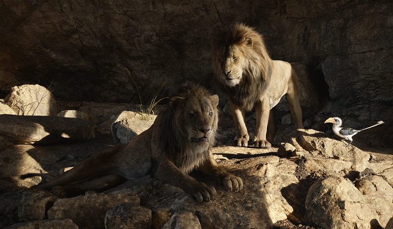 The Lion King - Live Action - 4K Limited Edition Collectible SteelBook [Blu-ray + 4K UHD + Digital]