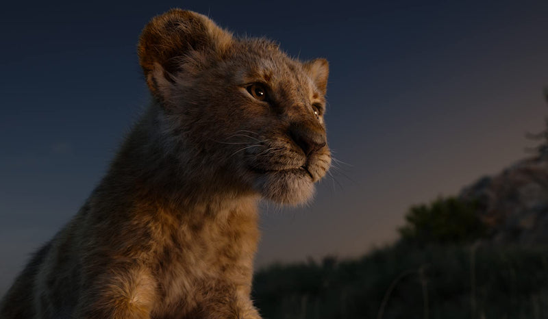 The Lion King - Live Action - 4K Limited Edition Collectible SteelBook [Blu-ray + 4K UHD + Digital]