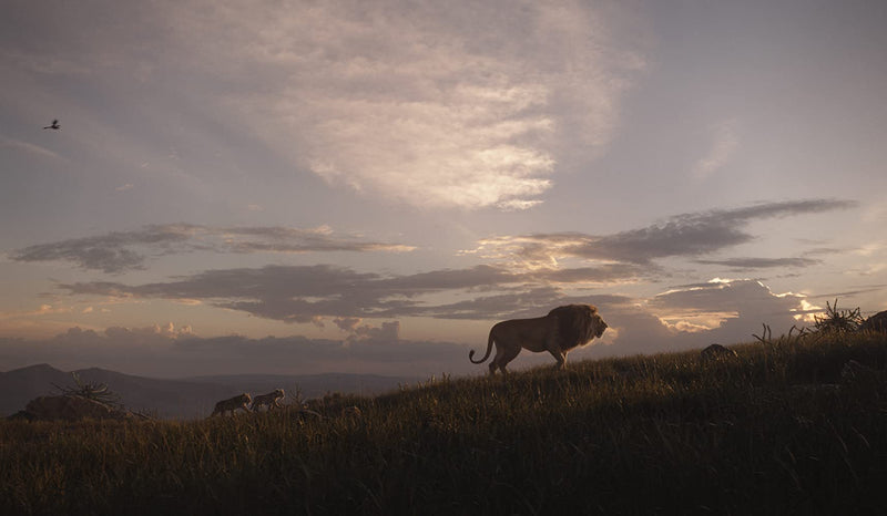 The Lion King - Live Action - 4K Limited Edition Collectible SteelBook [Blu-ray + 4K UHD + Digital]