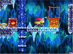 Wario: Master of Disguise [Nintendo DS DSi]