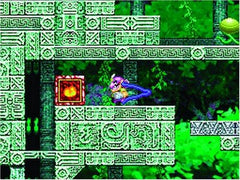 Wario: Master of Disguise [Nintendo DS DSi]